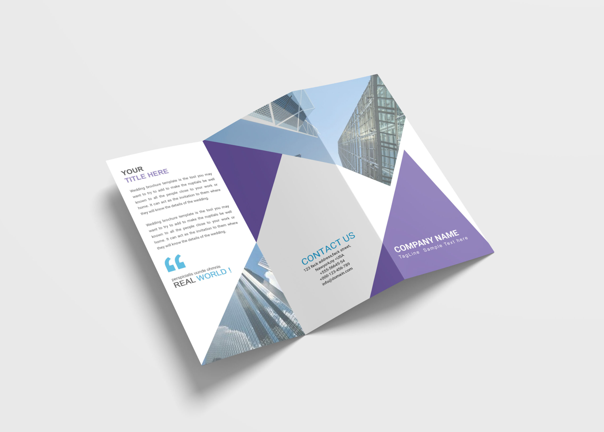 Marketing Business Tri-Fold Brochure Design Templates